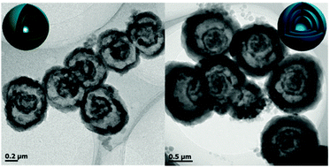 Graphical abstract: Preparation of multi-shelled conductive polymer hollow microspheres by using Fe3O4 hollow spheres as sacrificial templates