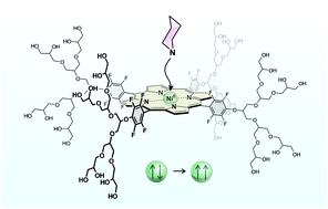 Graphical abstract: Coordination-Induced Spin-State-Switch (CISSS) in water