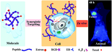 Graphical abstract: Synergistic dual-targeting hydrogel improves targeting and anticancer effect of Taxol in vitro and in vivo