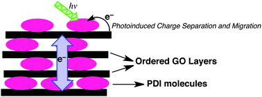 Graphical abstract: Photoinduced charge separation in ordered self-assemblies of perylenediimide–graphene oxide hybrid layers