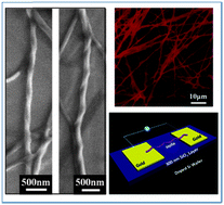 Graphical abstract: Conductive porphyrin helix from ternary self-assembly systems