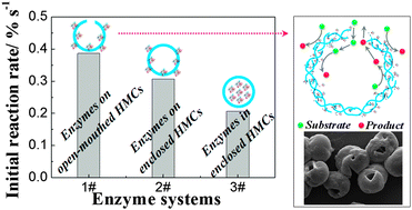 Graphical abstract: Open-mouthed hybrid microcapsules with elevated enzyme loading and enhanced catalytic activity