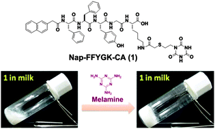 Graphical abstract: Visualized detection of melamine in milk by supramolecular hydrogelations