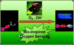 Graphical abstract: Bio-inspired enol-degradation for multipurpose oxygen sensing