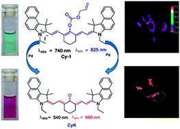 Graphical abstract: A naked-eye and ratiometric near-infrared probe for palladium via modulation of a π-conjugated system of cyanines