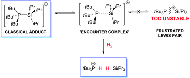 Graphical abstract: Bypassing a highly unstable frustrated Lewis pair: dihydrogen cleavage by a thermally robust silylium–phosphine adduct