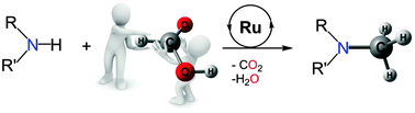 Graphical abstract: Catalytic methylation of aromatic amines with formic acid as the unique carbon and hydrogen source