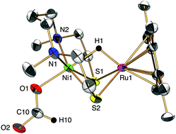 Graphical abstract: A [NiFe]hydrogenase model that catalyses the release of hydrogen from formic acid