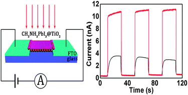 Graphical abstract: Organohalide lead perovskite based photodetectors with much enhanced performance