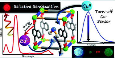 Graphical abstract: A bimodal anionic MOF: turn-off sensing of CuII and specific sensitization of EuIII