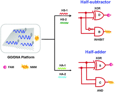 Graphical abstract: Integration of graphene oxide and DNA as a universal platform for multiple arithmetic logic units