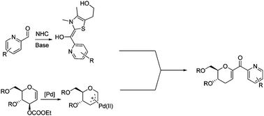 Graphical abstract: A highly efficient dual catalysis approach for C-glycosylation: addition of (o-azaaryl)carboxaldehyde to glycals