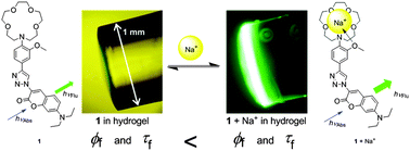 Graphical abstract: Fluorescence lifetime-based sensing of sodium by an optode