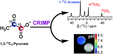 Graphical abstract: Chemical Reaction-Induced Multi-molecular Polarization (CRIMP)