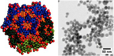 Graphical abstract: Hydrogen induced p-phosphonic acid calix[8]arene controlled growth of Ru, Pt and Pd nanoparticles