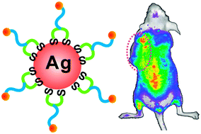 Graphical abstract: Fabrication of folate bioconjugated near-infrared fluorescent silver nanoclusters for targeted in vitro and in vivo bioimaging