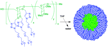 Graphical abstract: Synthesis of clickable amphiphilic polysaccharides as nanoscopic assemblies