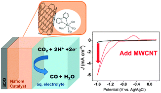 Graphical abstract: Electrocatalytic CO2 reduction with a membrane supported manganese catalyst in aqueous solution