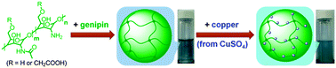 Graphical abstract: Copper on responsive polymer microgels: a recyclable catalyst exhibiting tunable catalytic activity