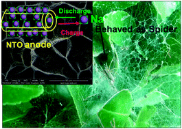 Graphical abstract: Three-dimensional spider-web architecture assembled from Na2Ti3O7 nanotubes as a high performance anode for a sodium-ion battery