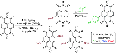 Graphical abstract: Direct core functionalisation of naphthalenediimides by iridium catalysed C–H borylation