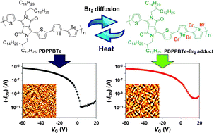 Graphical abstract: Diketopyrrolopyrrole-bitellurophene containing a conjugated polymer and its high performance thin-film transistor sensor for bromine detection