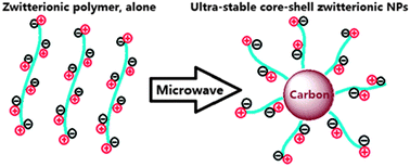 Graphical abstract: Ultrastable core–shell structured nanoparticles directly made from zwitterionic polymers