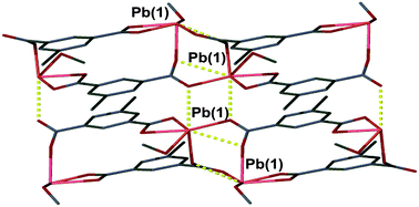 Graphical abstract: A facile single crystal to single crystal transition with significant structural contraction on desolvation
