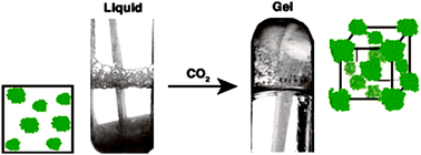 Graphical abstract: CO2 as a smart gelator for Pluronic aqueous solutions