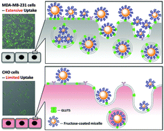 Graphical abstract: Fructose-coated nanoparticles: a promising drug nanocarrier for triple-negative breast cancer therapy