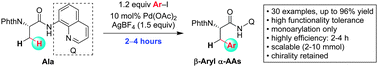 Graphical abstract: A general and practical palladium-catalyzed monoarylation of β-methyl C(sp3)–H of alanine