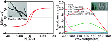 Graphical abstract: Novel magnetic nickel telluride nanowires decorated with thorns: synthesis and their intrinsic peroxidase-like activity for detection of glucose