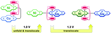 Graphical abstract: Potential-controlled rotaxane molecular shuttles based on electron-deficient macrocyclic complexes