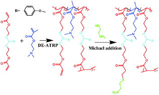 Graphical abstract: Acetal-linked branched poly(dimethyl-aminoethyl methacrylate) as an acid cleavable gene vector with reduced cytotoxicity