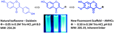 Graphical abstract: Development of 3-alkyl-6-methoxy-7-hydroxy-chromones (AMHCs) from natural isoflavones, a new class of fluorescent scaffolds for biological imaging