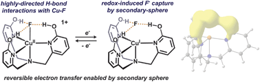 Graphical abstract: Redox-induced fluoride ligand dissociation stabilized by intramolecular hydrogen bonding