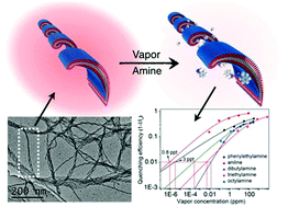 Graphical abstract: Fluorescent bilayer nanocoils assembled from an asymmetric perylene diimide molecule with ultrasensitivity for amine vapors