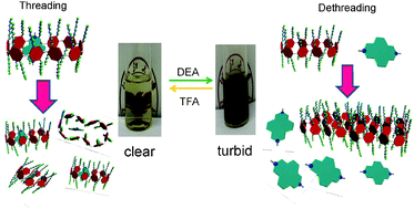 Graphical abstract: Chemical-responsive control of lower critical solution temperature behavior by pillar[10]arene-based host–guest interactions