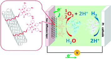 Graphical abstract: Immobilization of a molecular catalyst on carbon nanotubes for highly efficient electro-catalytic water oxidation