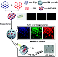 Graphical abstract: Multicolor imaging and the anticancer effect of a bifunctional silica nanosystem based on the complex of graphene quantum dots and hypocrellin A