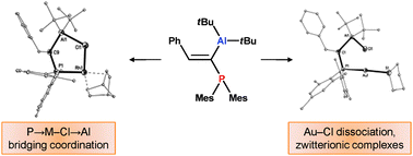 Graphical abstract: Novel zwitterionic complexes arising from the coordination of an ambiphilic phosphorus–aluminum ligand to gold