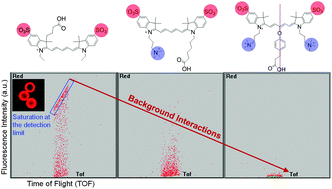 Graphical abstract: Investigating fluorescent dyes in fluorescence-assisted screenings