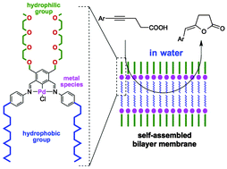 Graphical abstract: Cyclization of alkynoic acids in water in the presence of a vesicular self-assembled amphiphilic pincer palladium complex catalyst