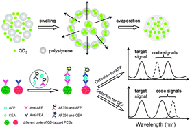 Graphical abstract: Quantum-dot-tagged photonic crystal beads for multiplex detection of tumor markers