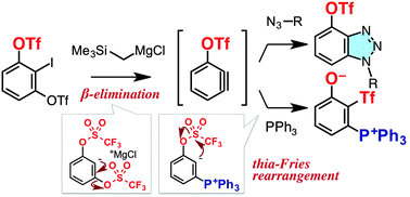 Graphical abstract: An efficient generation method and remarkable reactivities of 3-triflyloxybenzyne