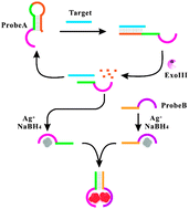 Graphical abstract: A new mode to light up an adjacent DNA-scaffolded silver probe pair and its application for specific DNA detection