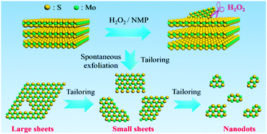 Graphical abstract: Spontaneous exfoliation and tailoring of MoS2 in mixed solvents