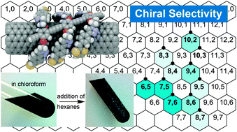 Graphical abstract: Dithiafulvenyl-grafted phenylene ethynylene polymers as selective and reversible dispersants for single-walled carbon nanotubes