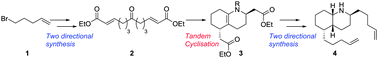 Graphical abstract: Two-directional synthesis and biological evaluation of alkaloid 5-epi-cis-275B′