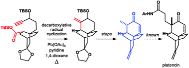 Graphical abstract: A new route to platencin via decarboxylative radical cyclization